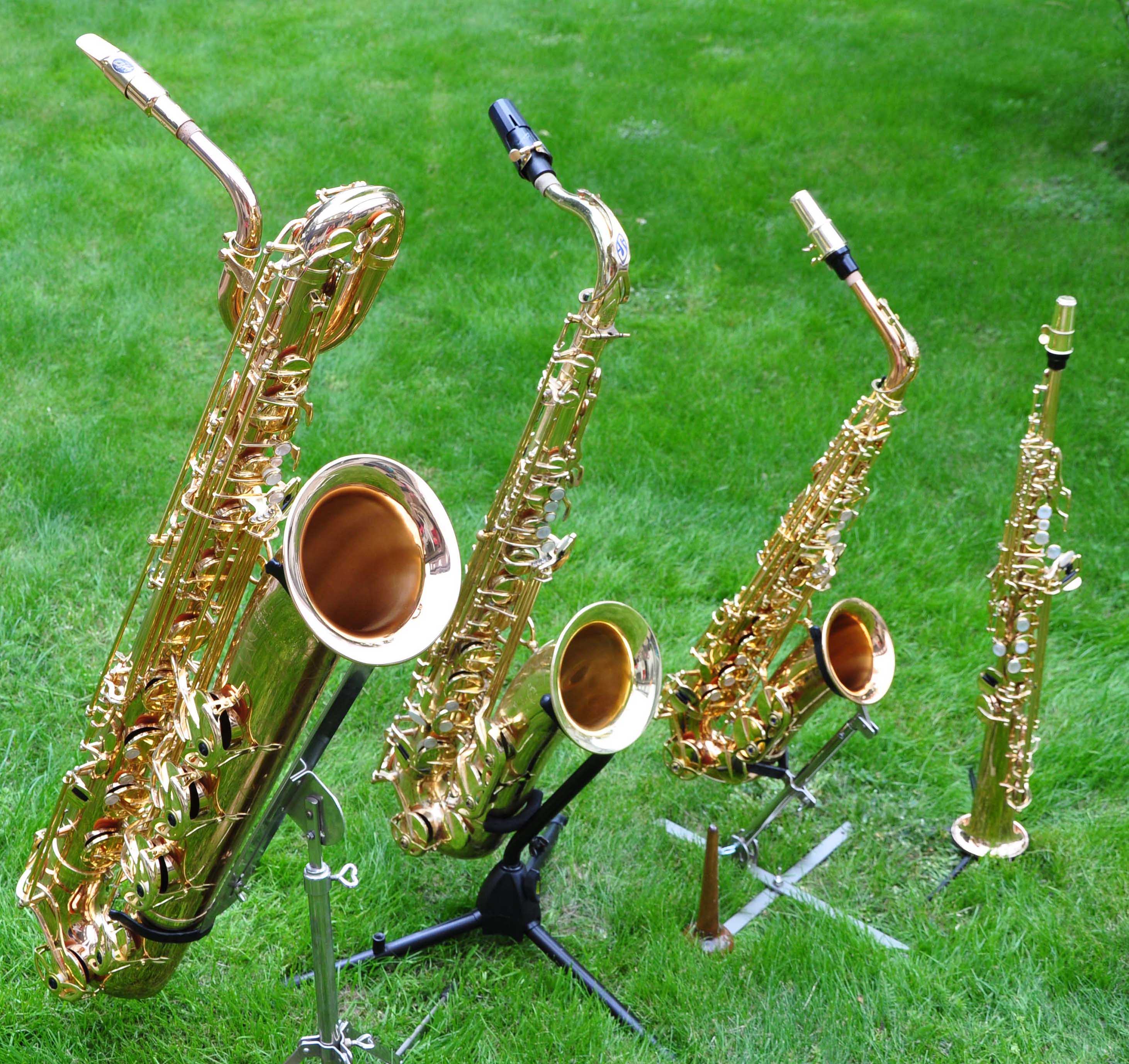 Saxofoner på grönbete